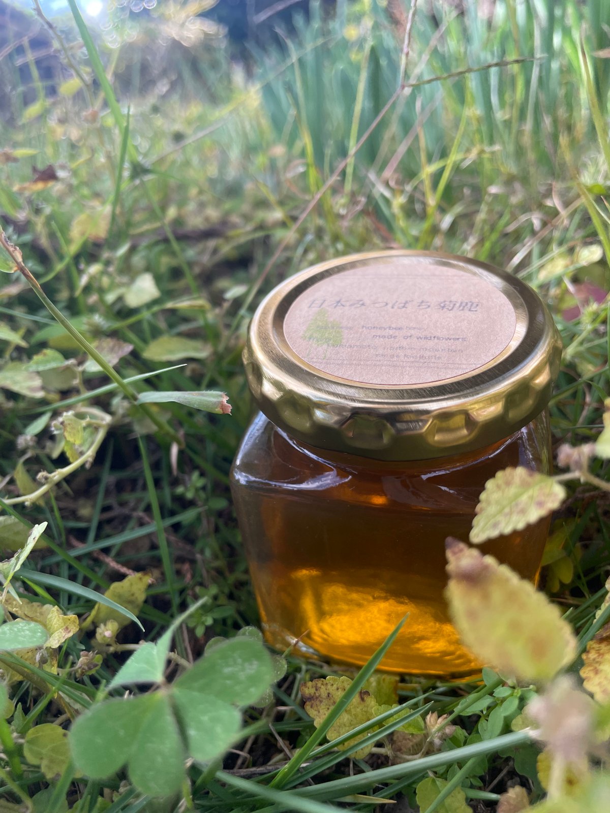 2024晩秋蜜】日本みつばち菊鹿150g | sunrockhacci