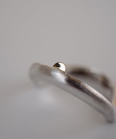Portal ring