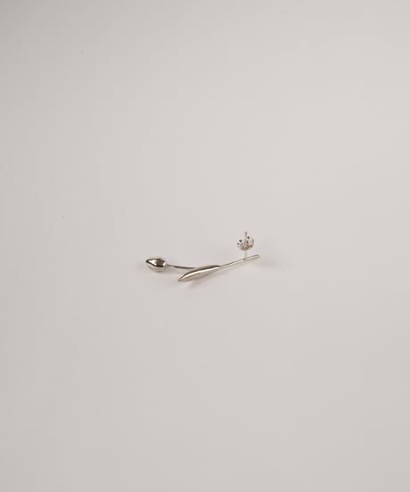 Tulip pierce