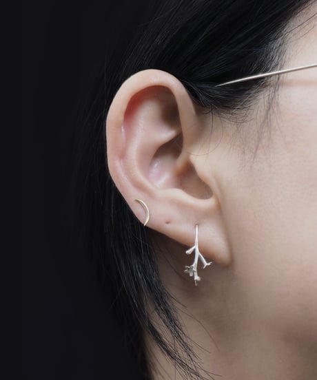 Trigonotis earring