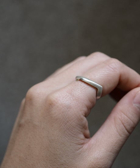 Portal ring