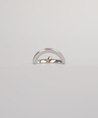 Portal ring