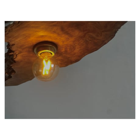 Lamp Shade 007 / 屋久島地杉