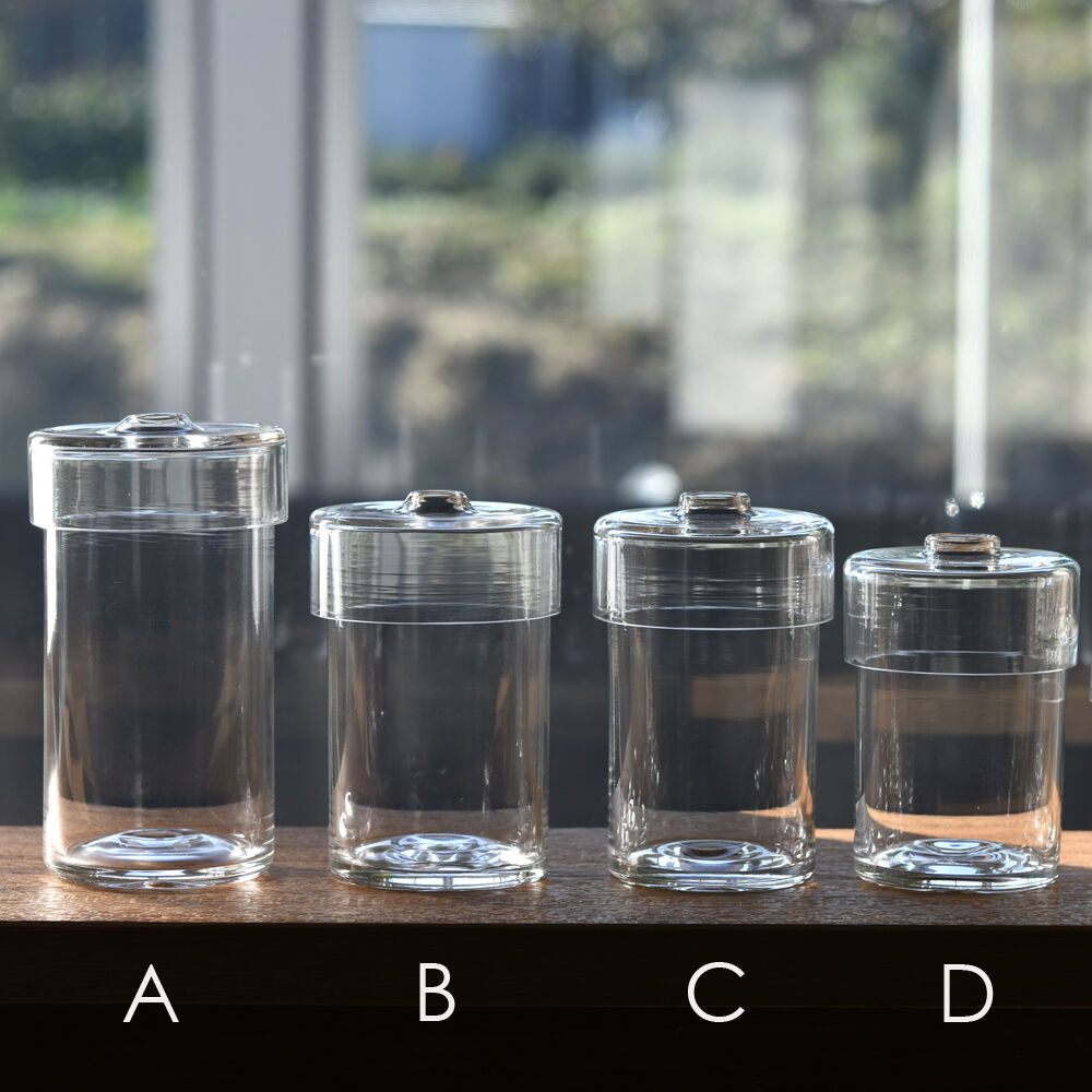 plants pod/竹内駿 722 | 富山ガラス工房