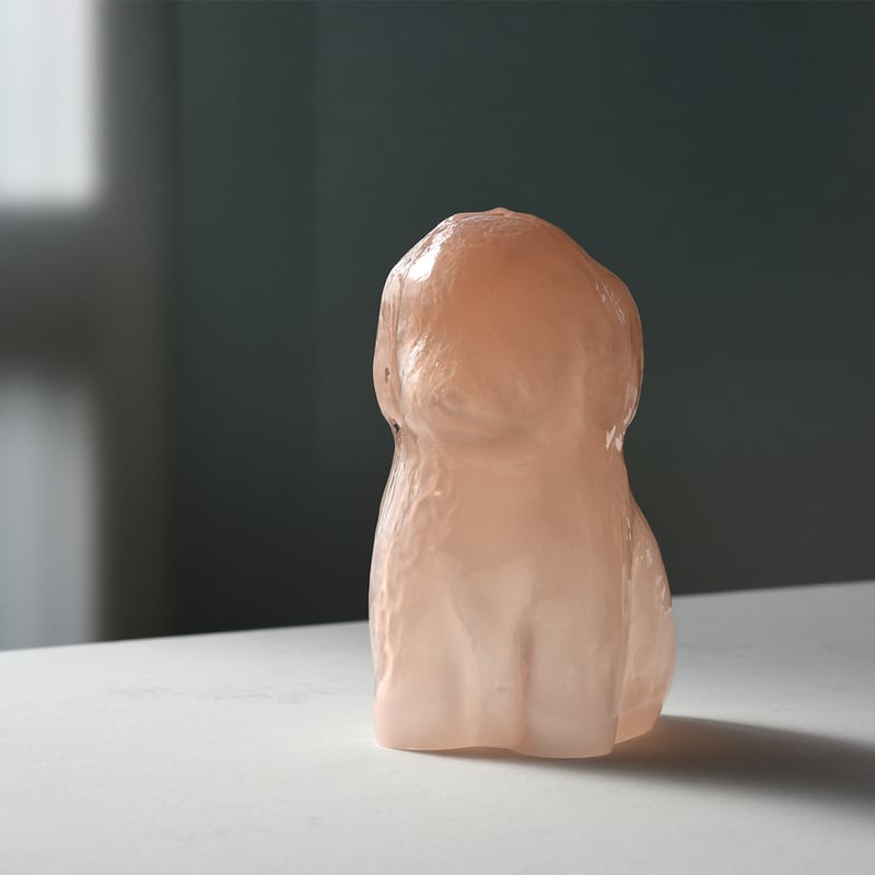 サリー　sasamoto natsuki / BUDDY サリー様専用 sasamoto natsuki / BUDDY