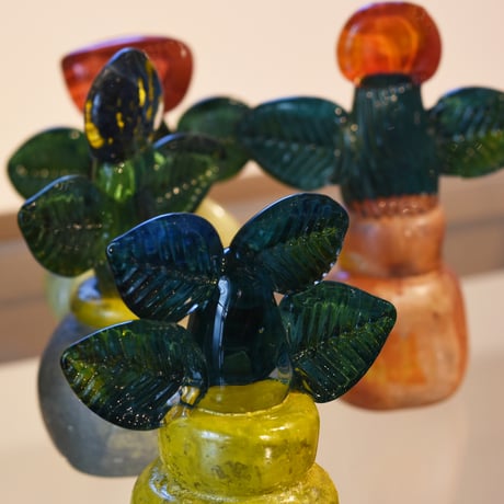 glass plant/常盤杏奈 　033404-1
