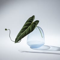 花器/まぶちちか