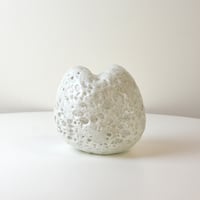 no-tittle 3/中村真那