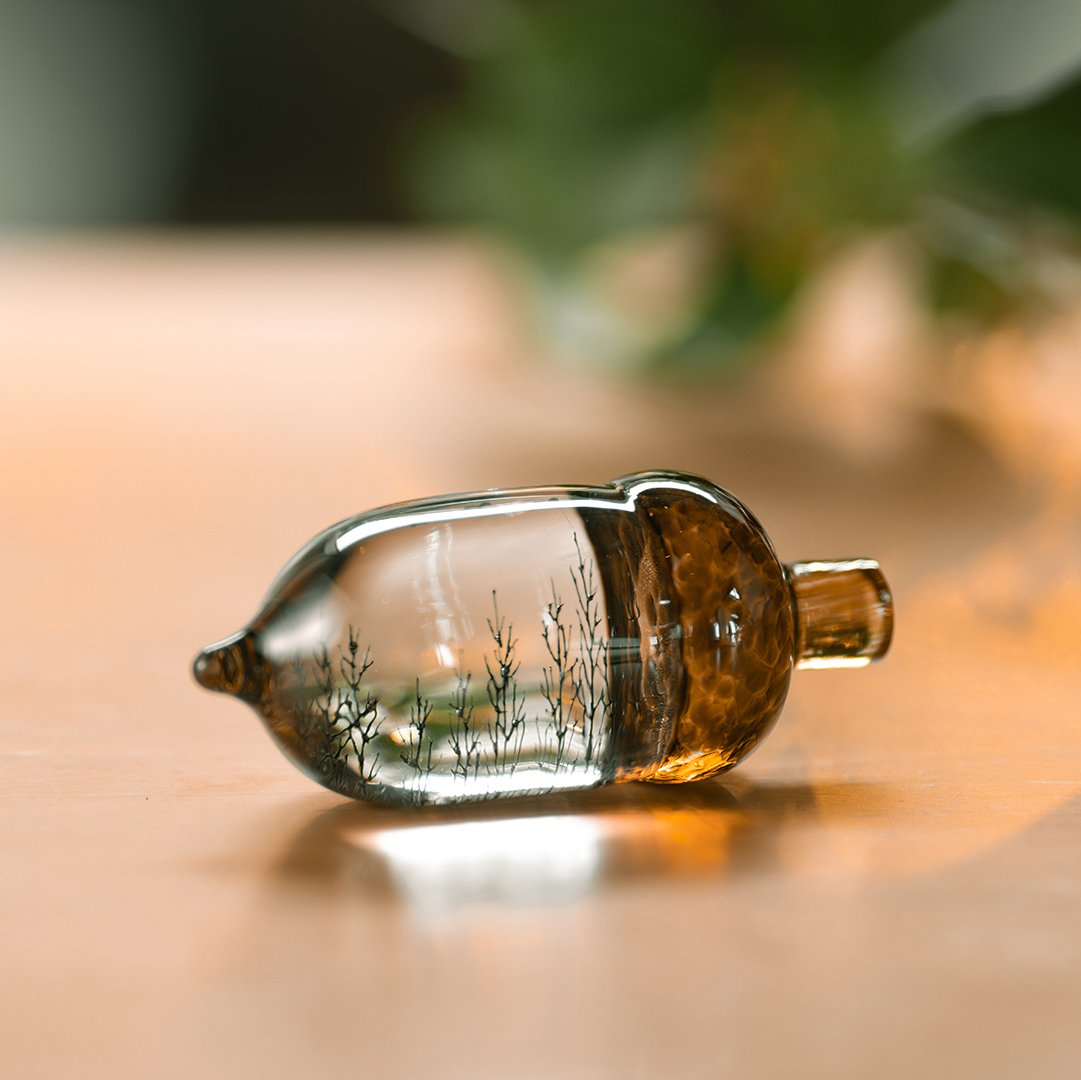 04 どんぐり/金津沙矢香 | 富山ガラス工房 