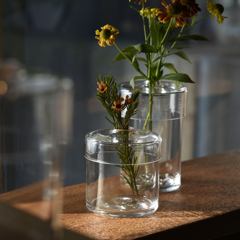 plants pod/竹内駿 722 | 富山ガラス工房