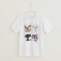 【長坂真護】Tシャツ「POPPY / LUDY / CHO-CHOCORI /  Outstanding cat」（リサイクルポリエステル）