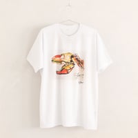 【長坂真護】Tシャツ「The colorful dinosaur」（リサイクルポリエステル）