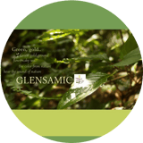 GLENSAMIC