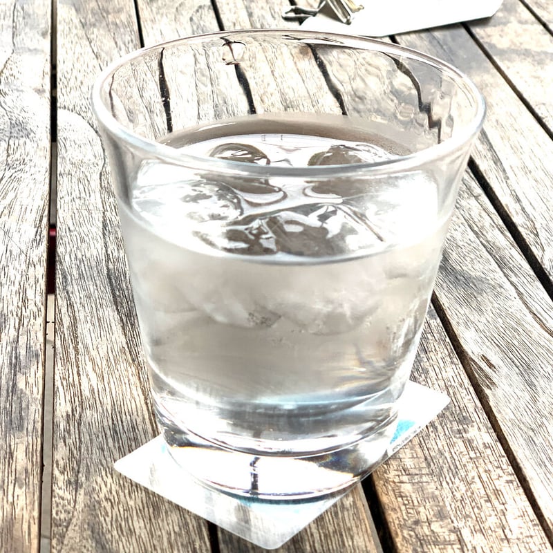 トーラス（循環）ステッカー 【保護シール付き｜送料込】 5G