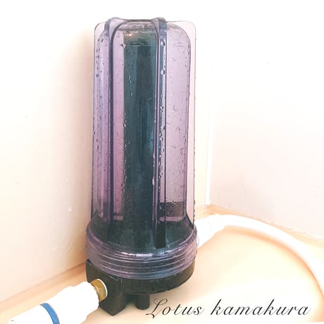 ガイアの水 | STORES ガイアの水 | STORES