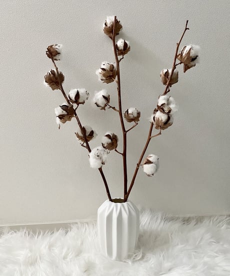 White Flower Vase