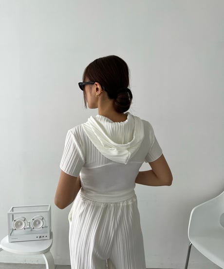 Hood Pleats Set Up