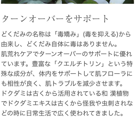 Ｖ３シャイニングファンデーション