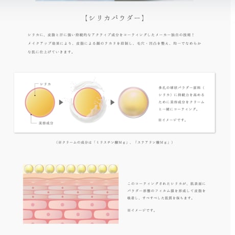 V3セットアップパウダー(2色)