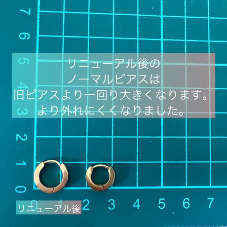 NEWリフトアップピアス〈ノーマルタイプ〉