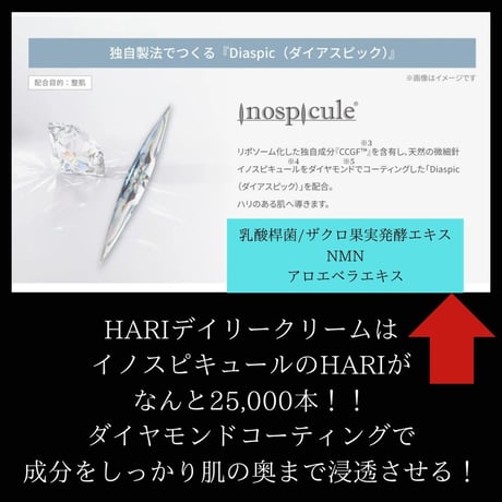 V3 VSPIC Cライン【洗顔、化粧水、乳液、クリーム】