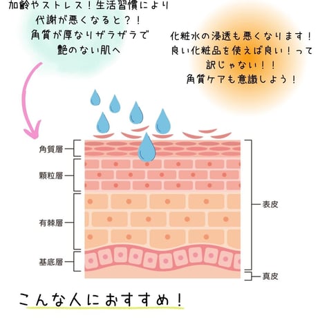 Vスピック　Cクレイパック