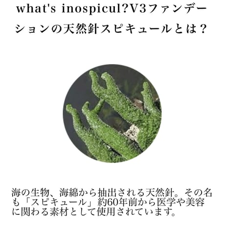 Ｖ３エキサイティングファンデーション