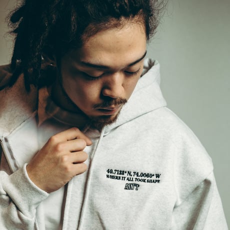 Where It All Took Shape Zip Hoodie / Ash