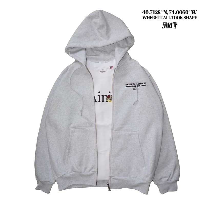 Where It All Took Shape Zip Hoodie / Ash | AIN'