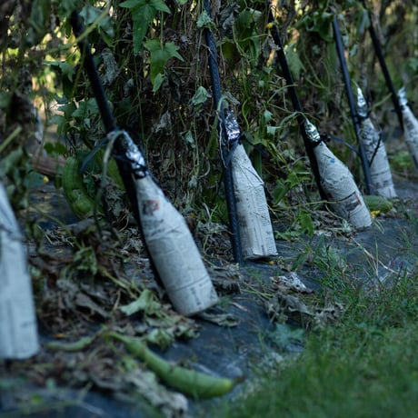 【エコ包装】天然へちま水せの200ｍｌ・自然派無添加ニキビマスク肌荒れ