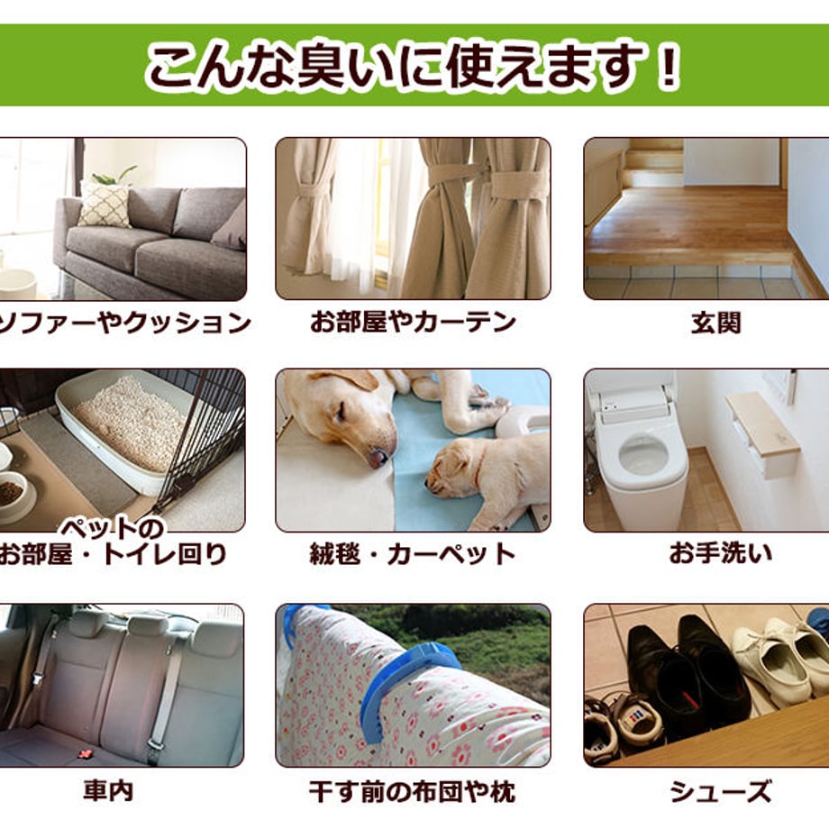 5c888f0d164eb10522e0fd6c