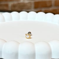 single pierce【No.268】［SUS316L]