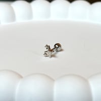 single pierce【No.259】［SUS316L]