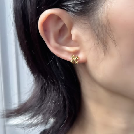 pierce【No.415】[SUS316L]