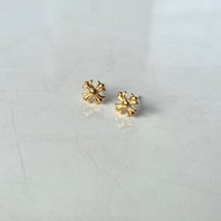 pierce【No.415】[SUS316L]