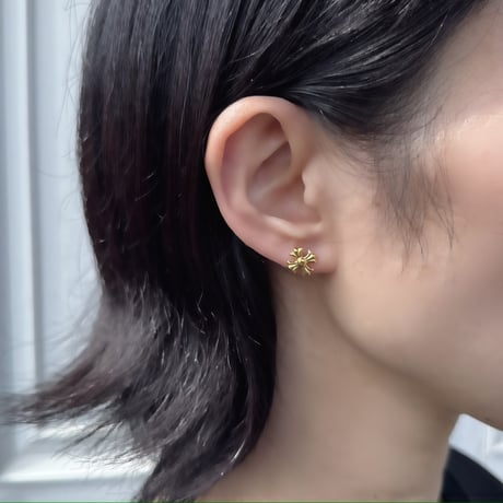 pierce【No.415】[SUS316L]