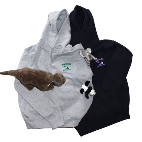 BMS CAMEL HOODIE GREY