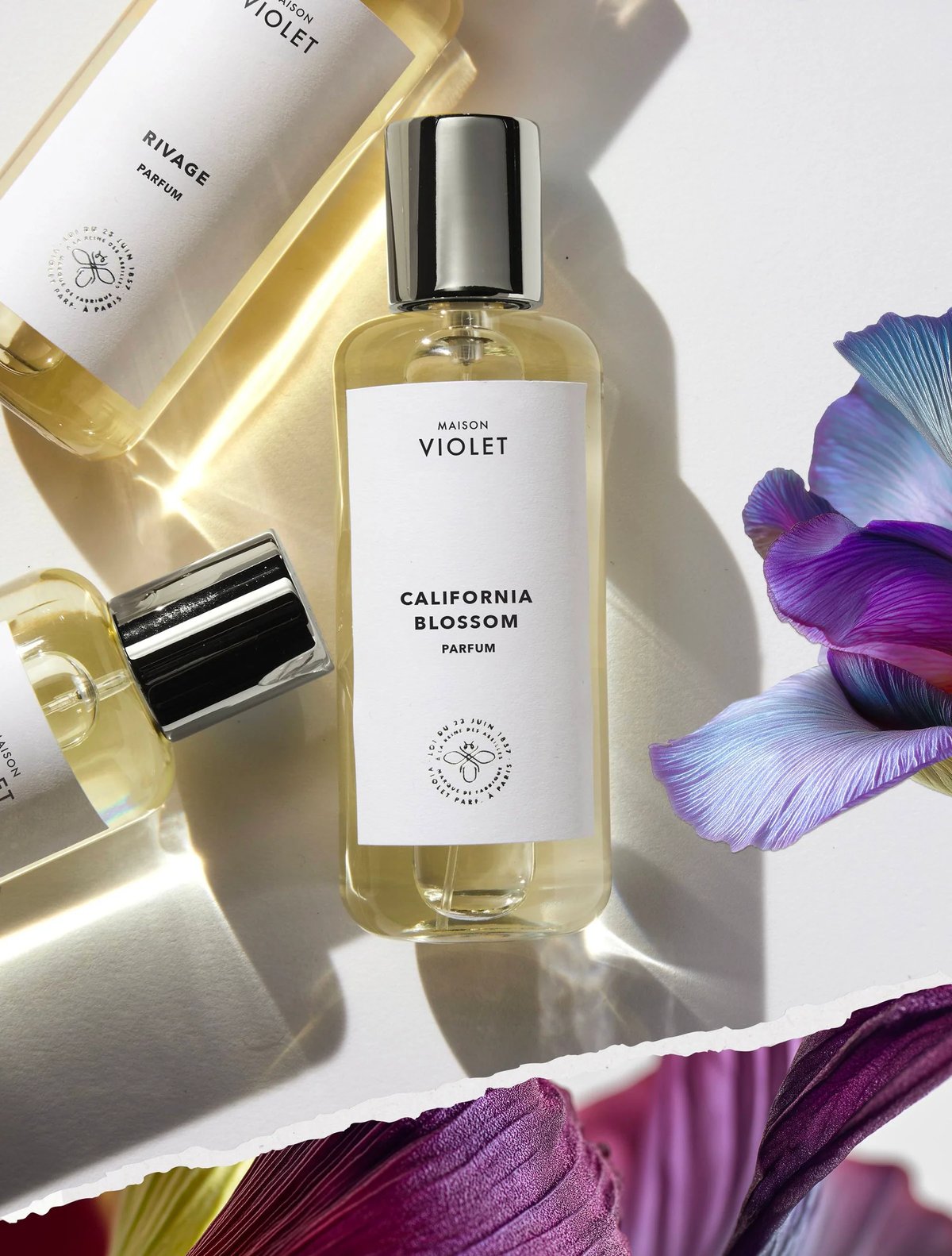 Maison Violet  メゾン ヴィオレ香水 新ブランド】Maison Violet（メゾン ヴィオレ）が8月16日 日本