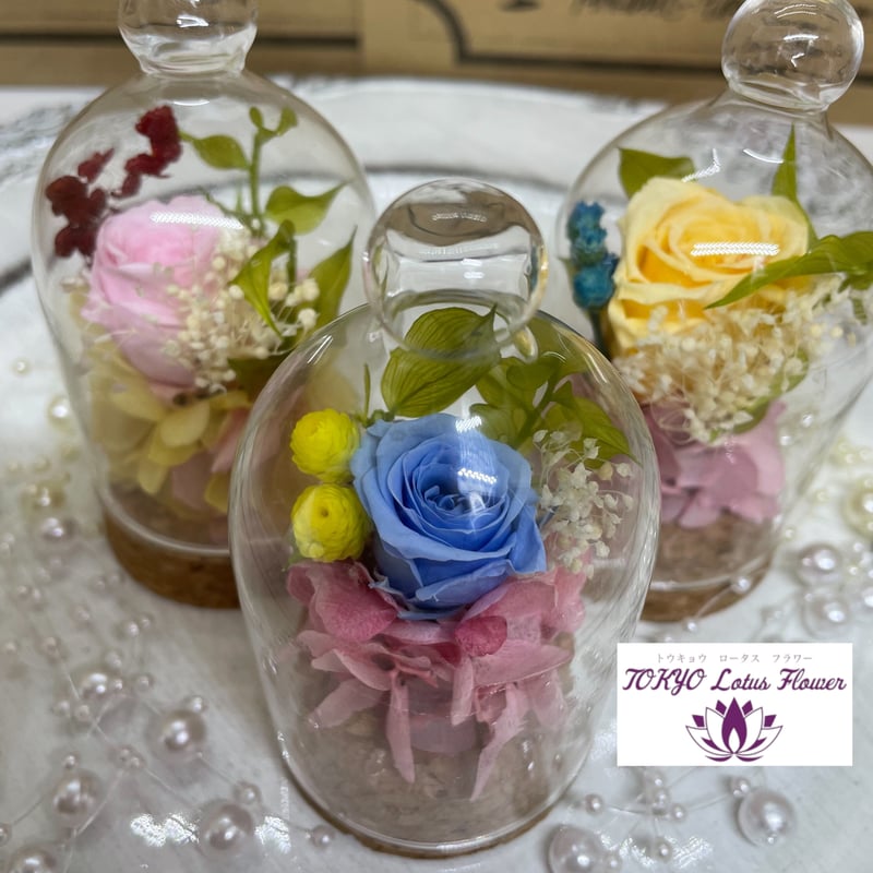 Belles Fleurs ガラスドームL プリザーブドフラワーアレンジ ブルー プリザーブドフラワー ガラスドームL