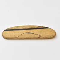 b-638_____BISCOTTI　白黒檀