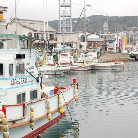 ＜＜2026年度＞＞小柴製餅所のいももち【今季販売最終回】