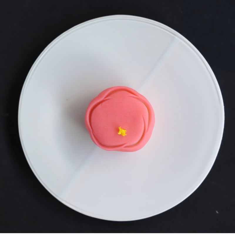 cimastone replicas 京都科学標本 能面 小面（若女）額縁付 【公式通販】