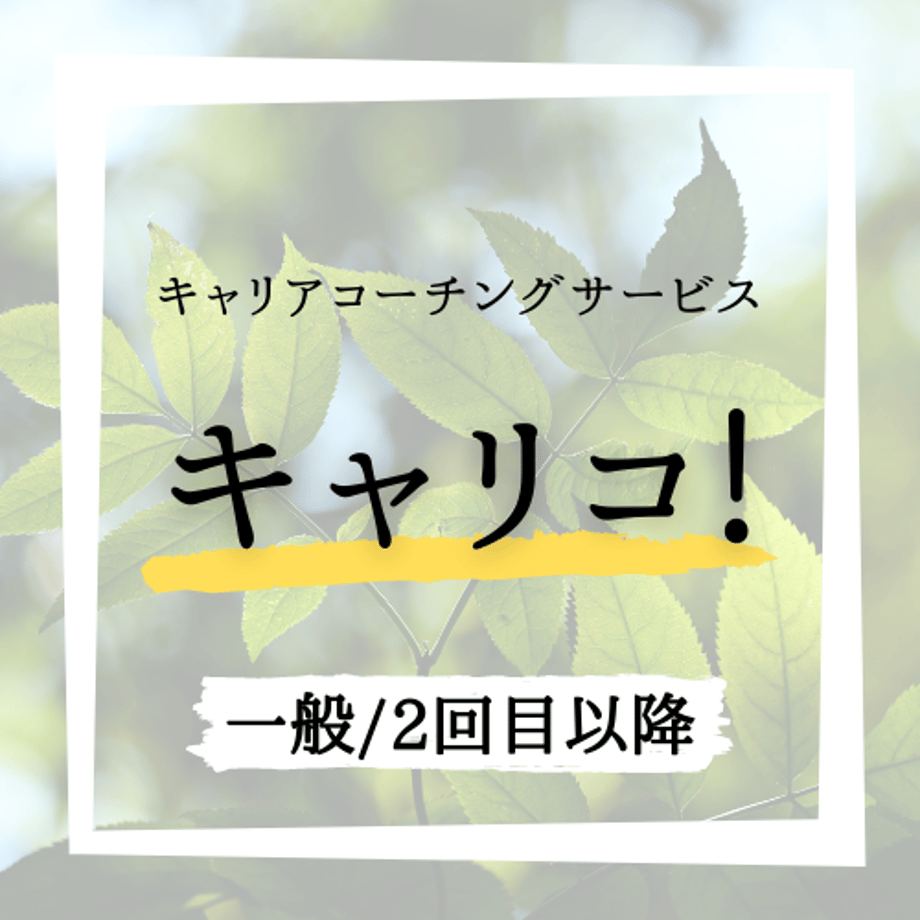 6013c3066e84d567afc7944b