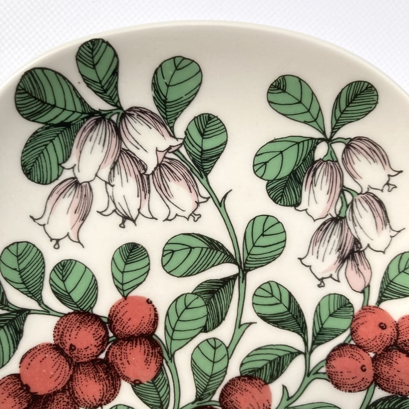 アラビア ボタニカルシリーズ 2枚セット アラビア ボタニカルシリーズ 2枚セット アラビア ボタニカルシリーズ