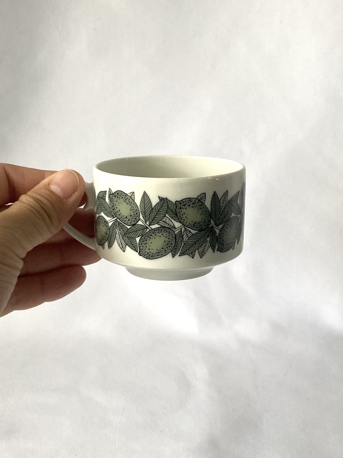 ARABIA（アラビア）／ Citrus（シトラス）／カップ＆ソーサー 01