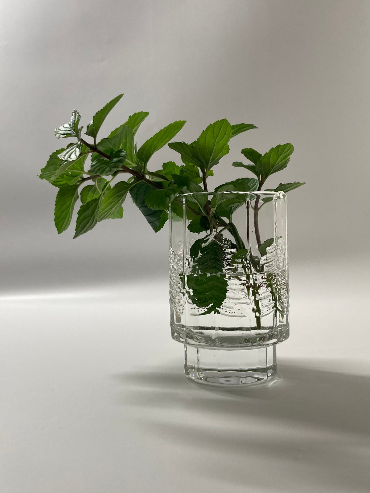  イッタラ クーシ フラワーベース もみの木 H16cm フィンランド/Iittala/イッタラ /Kuusi/クーシ/ベース