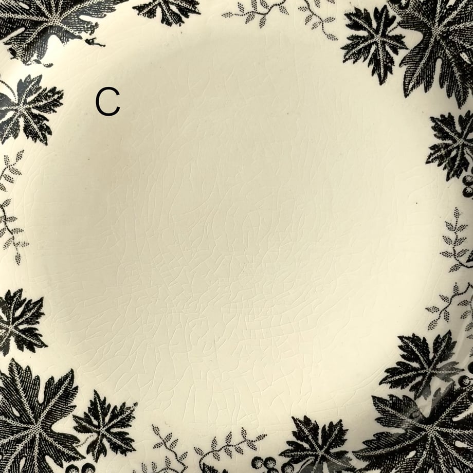 69dc502224537c15c176414a