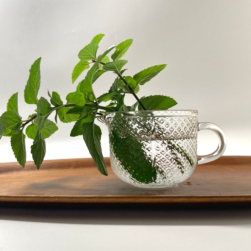 Nuutajarvi（ヌータヤルヴィ）／Pauliina（パウリーナ）／クリーマー