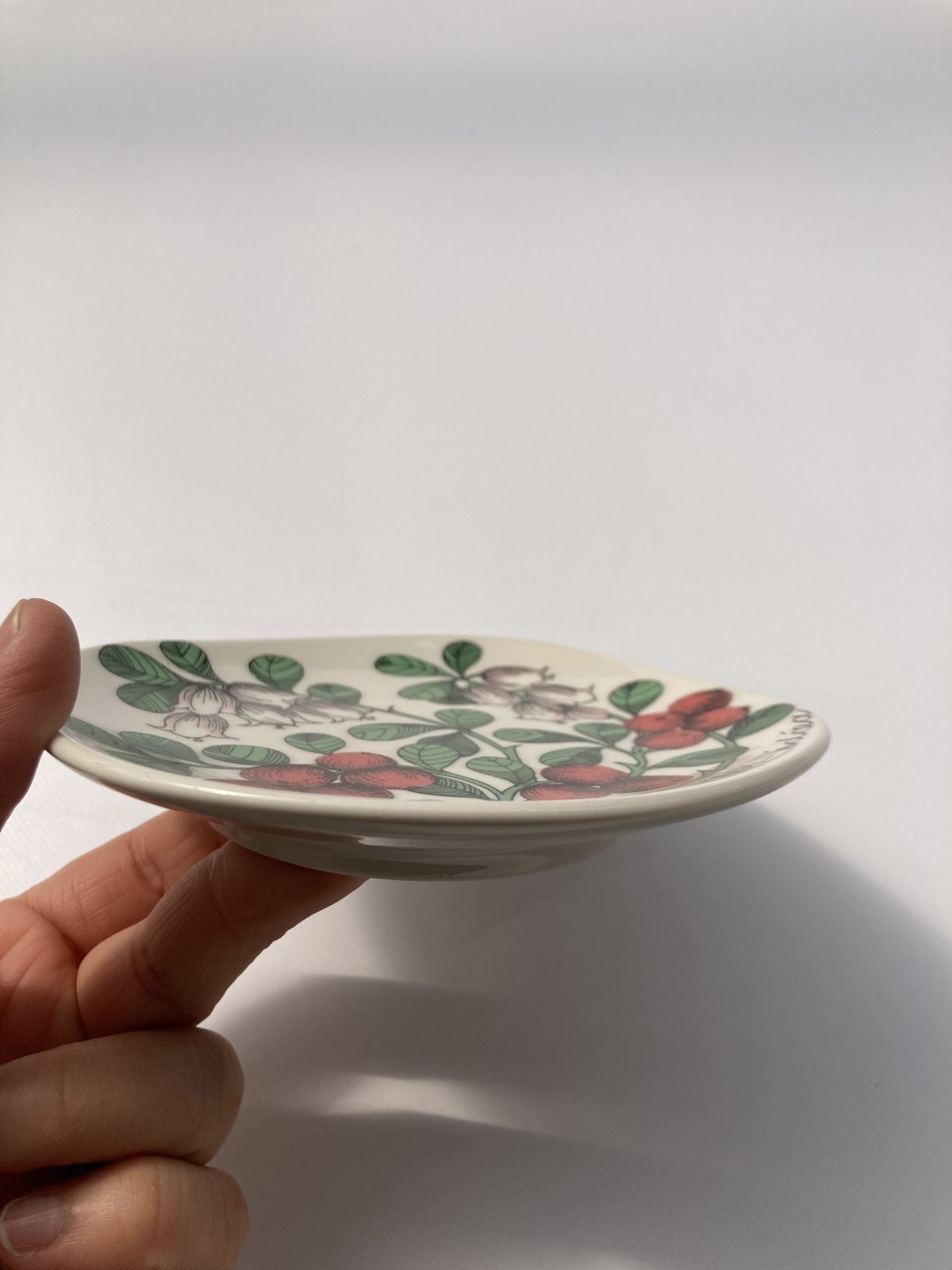 ARABIA（アラビア）／Botanica（ボタニカ）／Vaccinium Vitis-ida