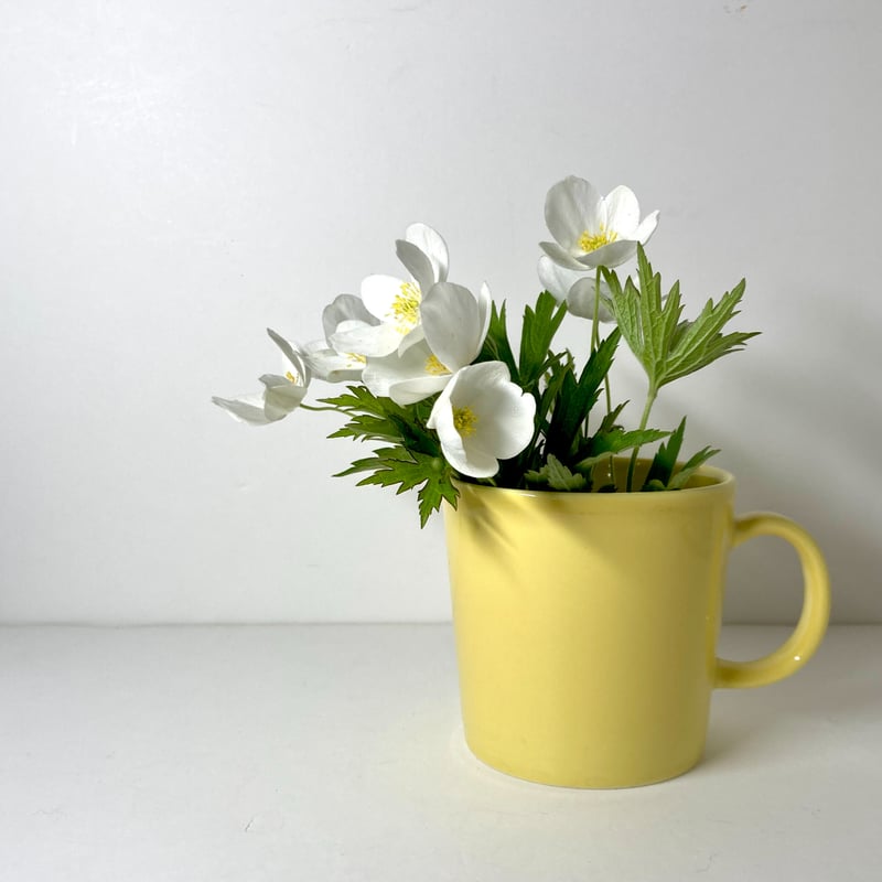 ARABIA（アラビア）／Teema（ティーマ）／廃盤色イエロー マグカップ02